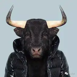  零售江湖还在分享青蛙鸡汤活该你穷