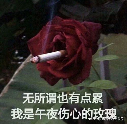  最新表情包图片我很好