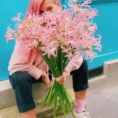 粉色花束头像背景图flowerday