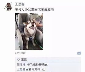  王校长一出手,全民化身柠檬精