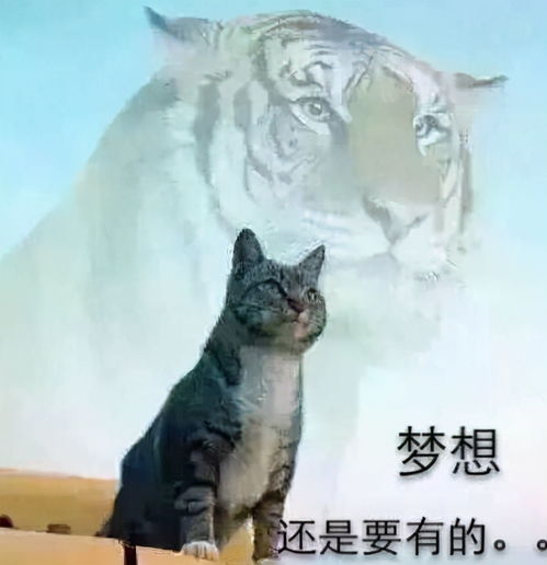  喂,你去哪啊我回家呀
