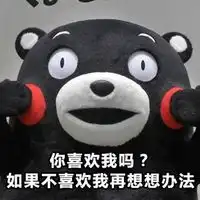  2016七夕情人节熊本熊系列表情包七夕专属表白表情图片图片浏览