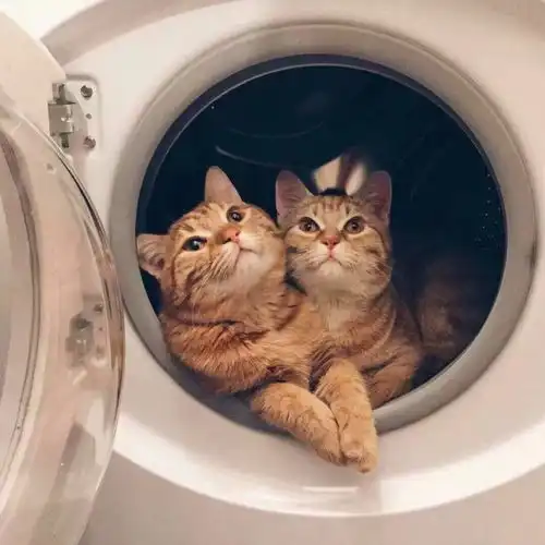  有简单又好听的情侣名吗