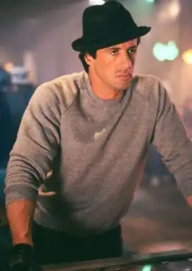  洛奇一个普通人的梦想与拼搏之旅