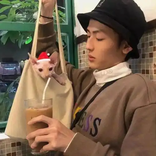  头像好看微信头像