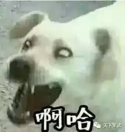  历史丨麦达之战打破法军不可战胜的神话