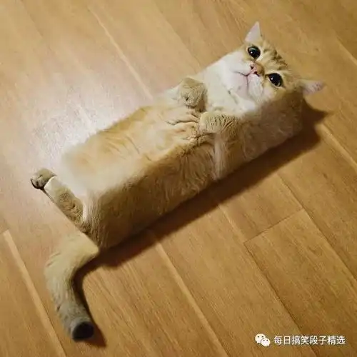  搞笑段子来了今天是每十年一次的重要节日,很多情侣都不知道