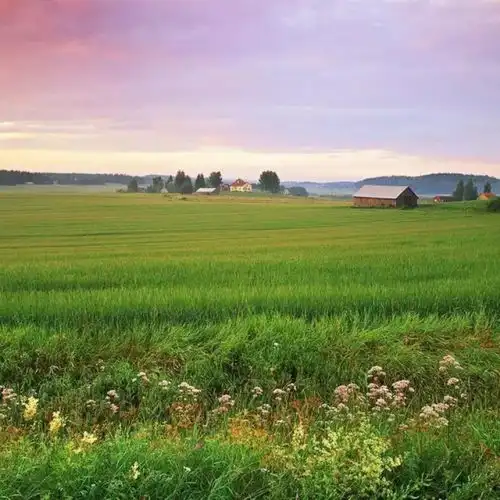  总想走进你心里