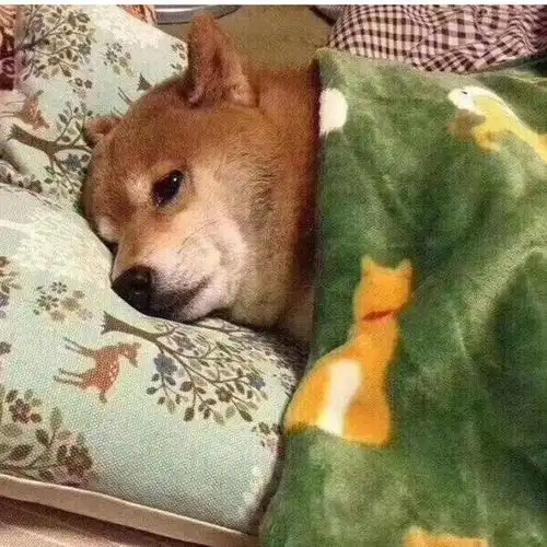  轻松一刻在公司食堂里,竟吃出了高考的感觉