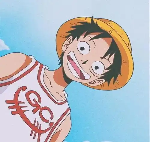  头像海贼王我只做我想做的事,保护我想要保护的人而已侵权
