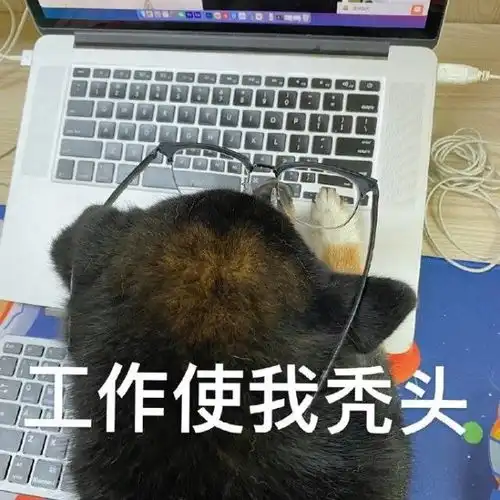  笑话以前也去的,后来发现风吹日晒的对皮肤不好媳妇电话儿子