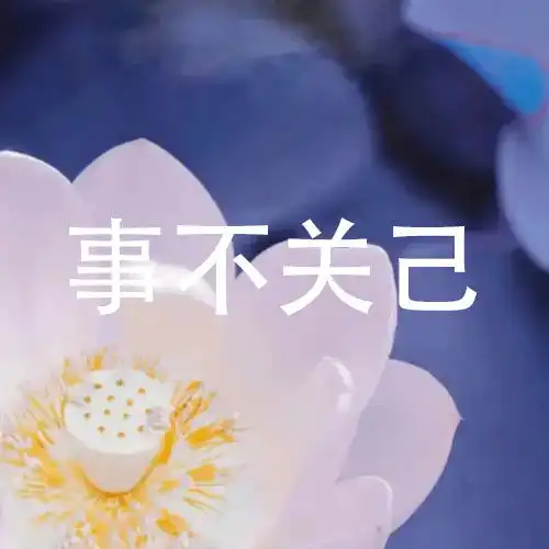  微信头像荷花并配字荷花头像带字佛系静心