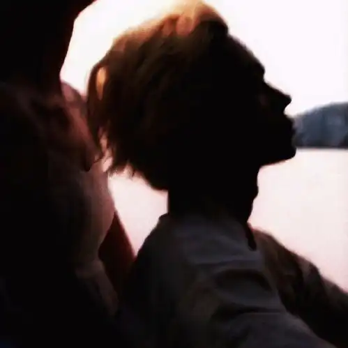 情头丨目送白鸟衔玫瑰而过 情头丨目送白鸟衔玫瑰而过