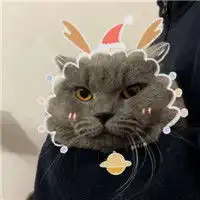  个性2019时尚情侣头像你是年少的欢喜