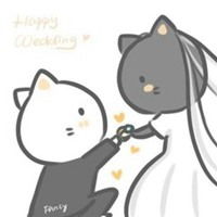  卡通猫咪头像简约微信头像图片大全