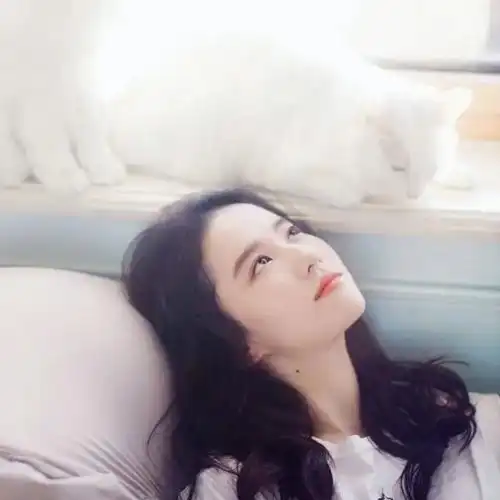 十年间她收养流浪猫50余只,被网友们怒赞人美心善的神仙姐姐 十年间她收养流浪猫50余只,被网友们怒赞人美心善的神仙姐姐