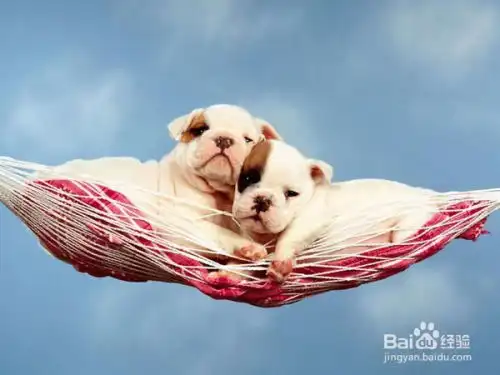  怎么才能拍摄出好照片