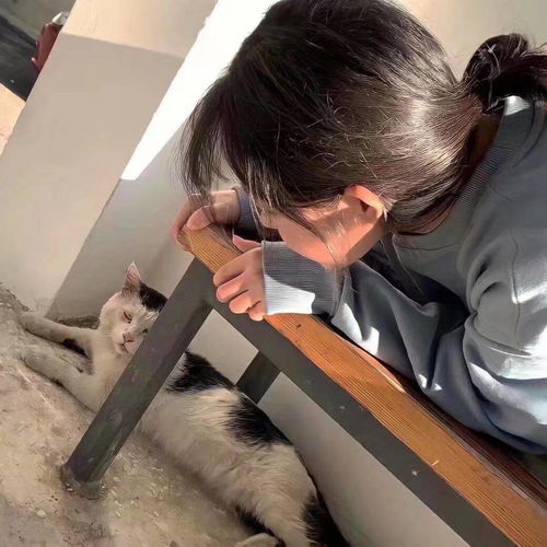  一人一张情侣头像开启心动模式