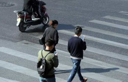 马路低头族让人捏把汗,有你吗