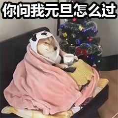  元旦赠礼等你来拿