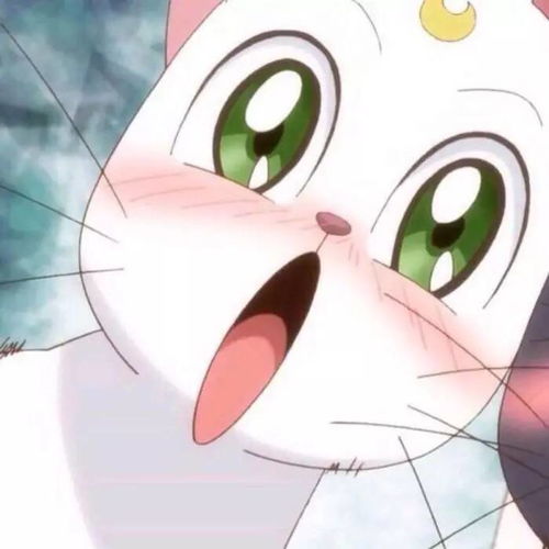 猫咪情侣头像拟人动漫