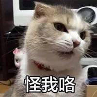  搞怪柠檬带字图片微信头像图片大全