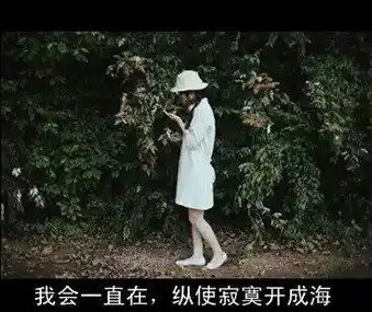 那些我所喜欢的壁纸欢迎收藏