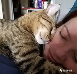  动物的爱就是这么直接,喜欢你,就抱紧你哟