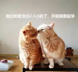  假如生活偷走了你的时间,还随手给了你一波dueduedue的暴击
