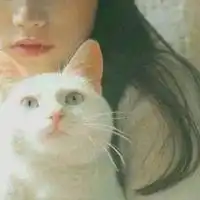  qq女生头像抱猫咪