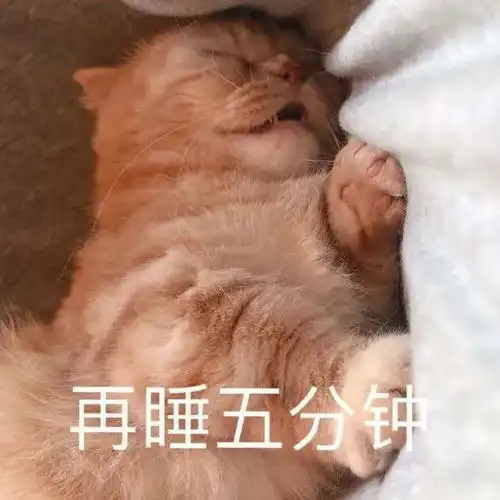  微信可爱聊天表情包马上舔我