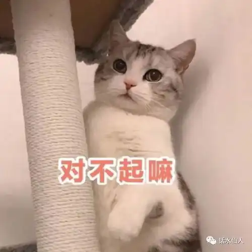  心塞让媳妇亏钱比我被割韭菜还要难受