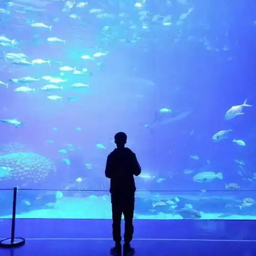 一大波情侣头像 一大波情侣头像