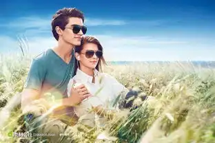  生命恋歌宋祖英高清版