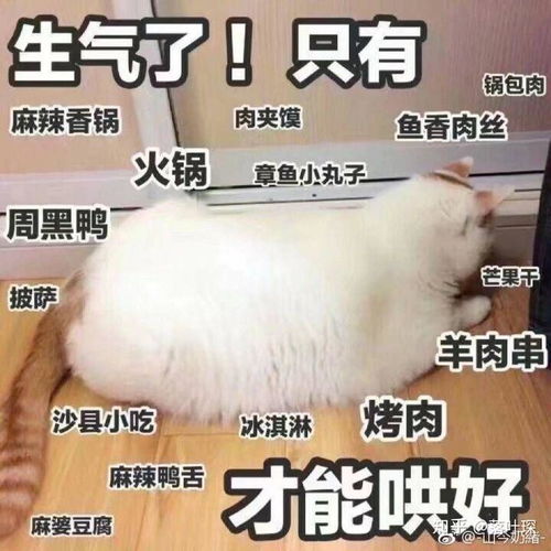  有没有适合谈恋爱的表情包