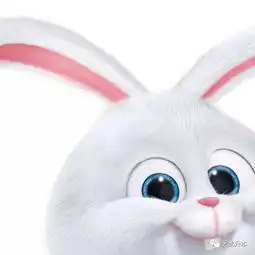  寒假集训营开课了