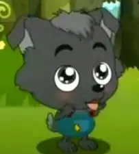  谁有小灰灰的图片贡献出来谢谢了