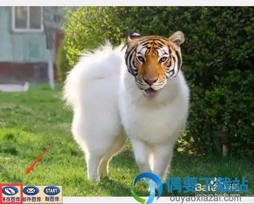  faceonbody照片换脸软件换头像软件照片换脸软件换头像