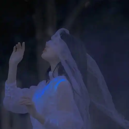  头像天使坠落人间