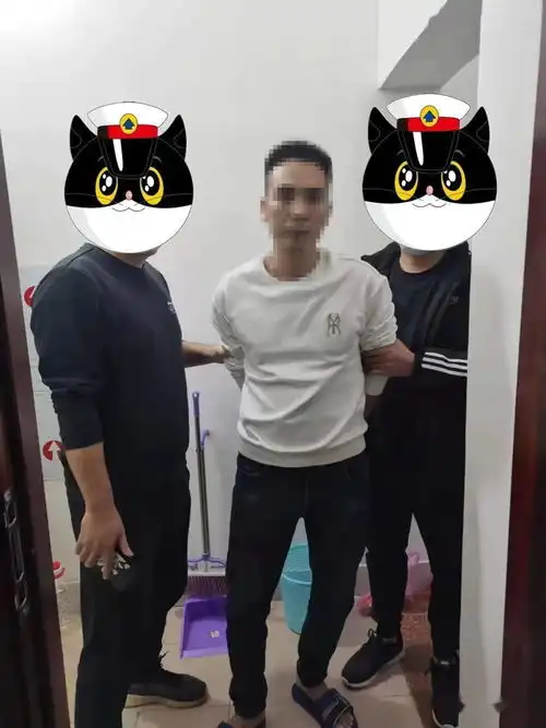 厉害了桂平黑猫警长擒获一窝油耗子 厉害了桂平黑猫警长擒获一窝油耗子