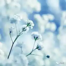  现代生活十则