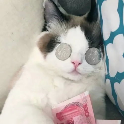  1022021最火微信qq简单可爱呆萌霸气高冷仙女生闺蜜头像新年最潮动漫二次元情侣头像
