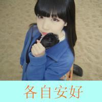  qq头像带字猪公猪婆猪头猪婆情侣头像