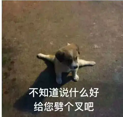  老伙伴们最近都看了啥电影呢
