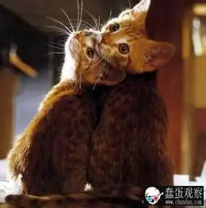  一周车坛囧事泡妞泡成老公的东风