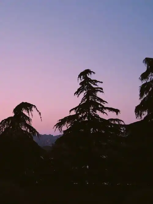 晚霞会替我见我想见的那个人 晚霞会替我见我想见的那个人