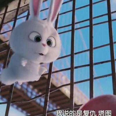  兔子头像