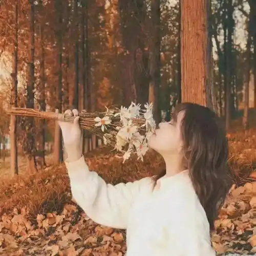  小雏菊情侣头像ins风情侣头像