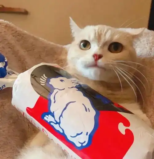  tang.364今天也是不容错过的情侣头像呀