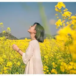  2020罗平油菜花景区门票,罗平罗平油菜花景区游玩攻略,罗平油菜花景区游览攻略路线地址门票价格